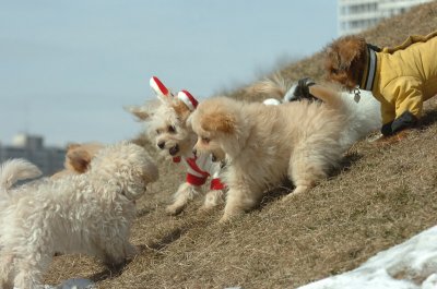 Mar8_07_455.JPG