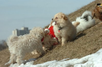 Mar8_07_456.JPG