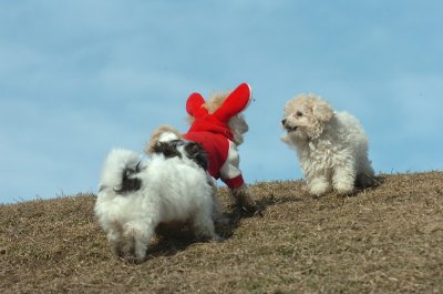 Mar8_07_529.JPG