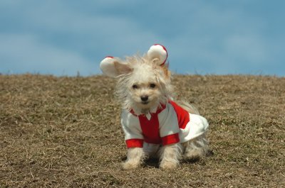 Mar8_07_281.JPG