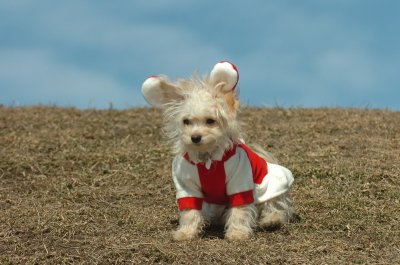 Mar8_07_282.JPG