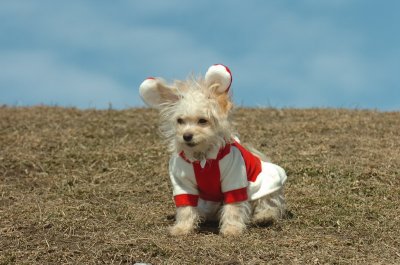 Mar8_07_283.JPG