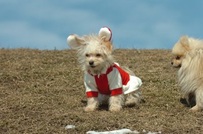 Mar8_07_285.JPG