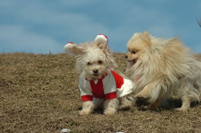Mar8_07_286.JPG