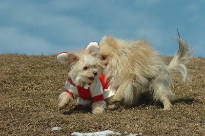 Mar8_07_287.JPG