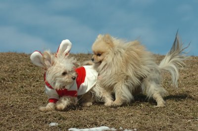 Mar8_07_288.JPG