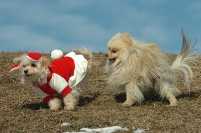 Mar8_07_289.JPG