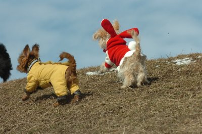 Mar8_07_290.JPG
