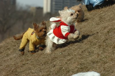 Mar8_07_291.JPG