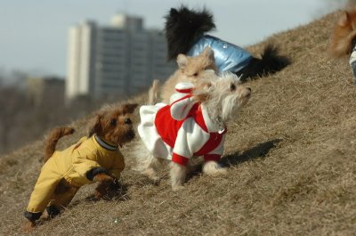 Mar8_07_292.JPG