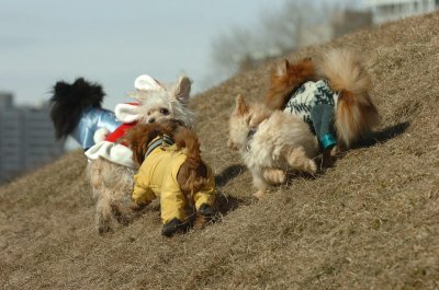 Mar8_07_296.JPG