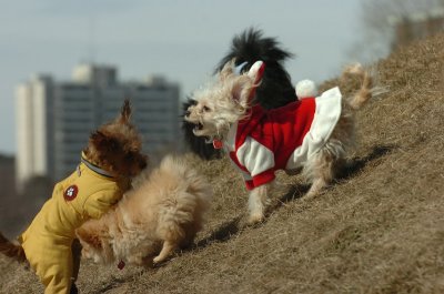 Mar8_07_297.JPG