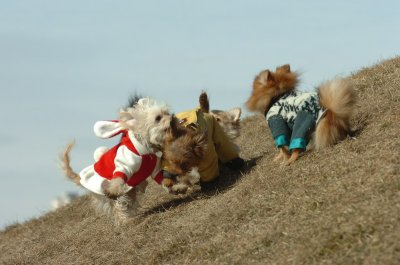 Mar8_07_299.JPG