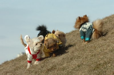 Mar8_07_300.JPG