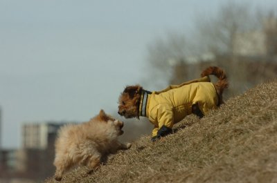 Mar8_07_306.JPG