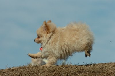 Mar8_07_308.JPG