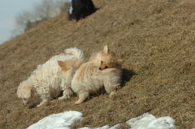 Mar8_07_310.JPG