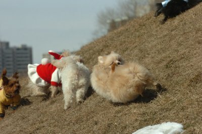 Mar8_07_311.JPG