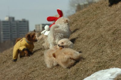 Mar8_07_312.JPG