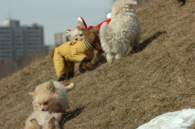 Mar8_07_314.JPG