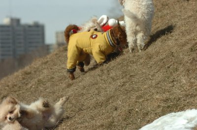 Mar8_07_315.JPG
