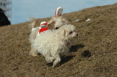 Mar8_07_322.JPG