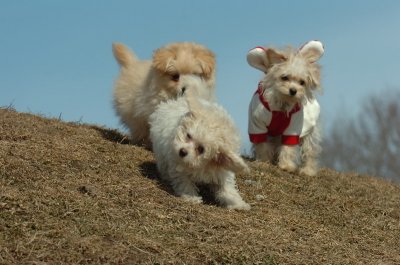 Mar8_07_328.JPG