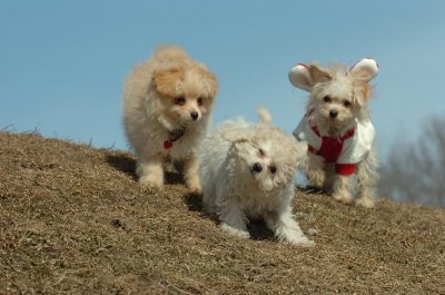 Mar8_07_330.JPG