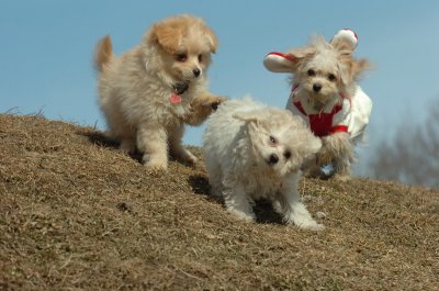 Mar8_07_332.JPG