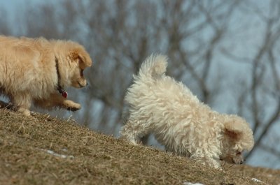 Mar8_07_337.JPG