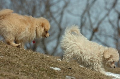 Mar8_07_338.JPG