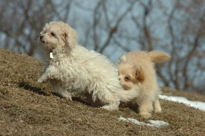 Mar8_07_340.JPG