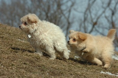 Mar8_07_341.JPG