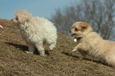 Mar8_07_343.JPG