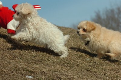 Mar8_07_344.JPG