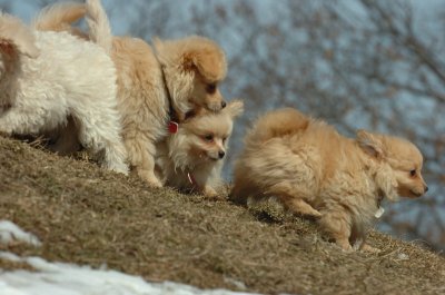 Mar8_07_349.JPG