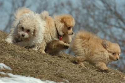 Mar8_07_350.JPG