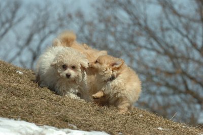 Mar8_07_352.JPG