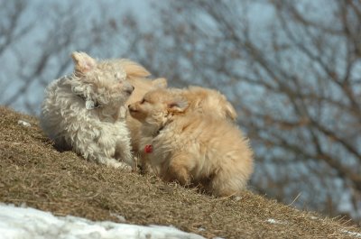 Mar8_07_353.JPG