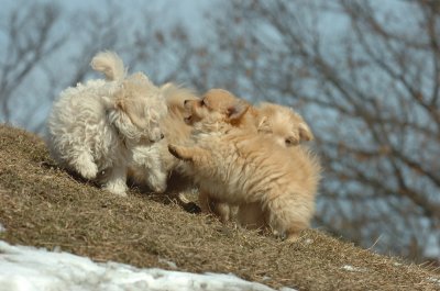 Mar8_07_354.JPG