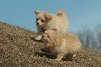 Mar8_07_360.JPG
