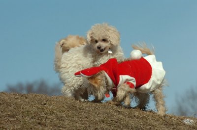 Mar8_07_368.JPG