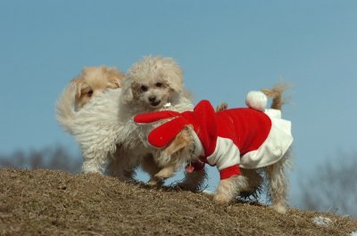 Mar8_07_369.JPG