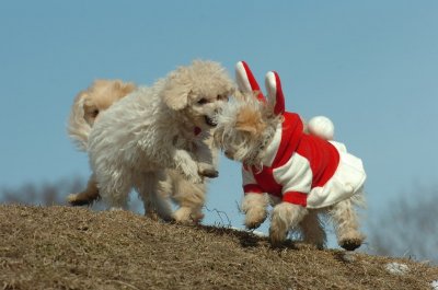 Mar8_07_370.JPG