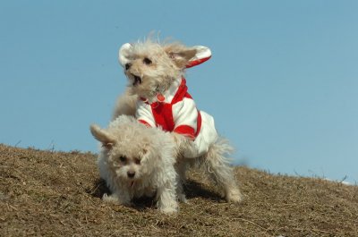 Mar8_07_372.JPG