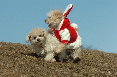 Mar8_07_373.JPG