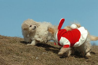 Mar8_07_375.JPG
