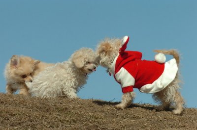 Mar8_07_381.JPG