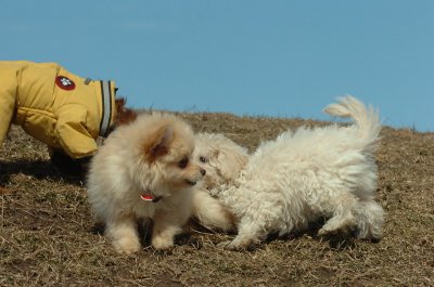 Mar8_07_383.JPG