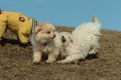 Mar8_07_384.JPG